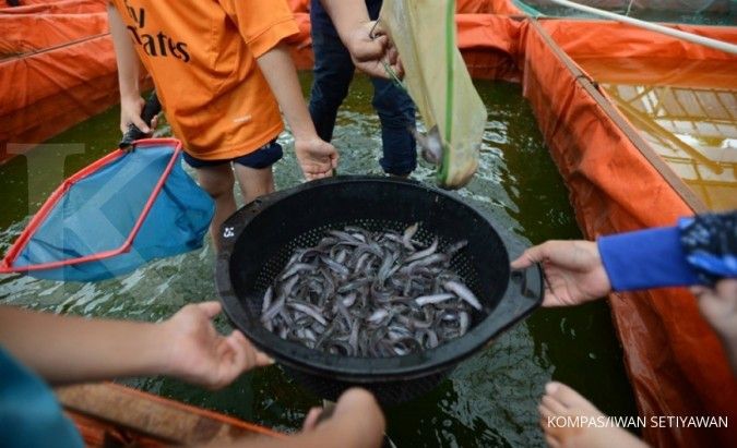 2.004 petani ikan akan dilindungi asuransi
