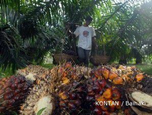 Masalah pupuk untuk tanaman kelapa sawit bakal teratasi