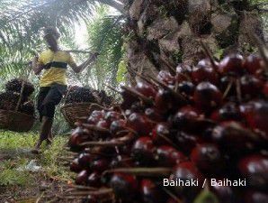 Terganggu curah hujan tinggi, SMAR gagal capai target