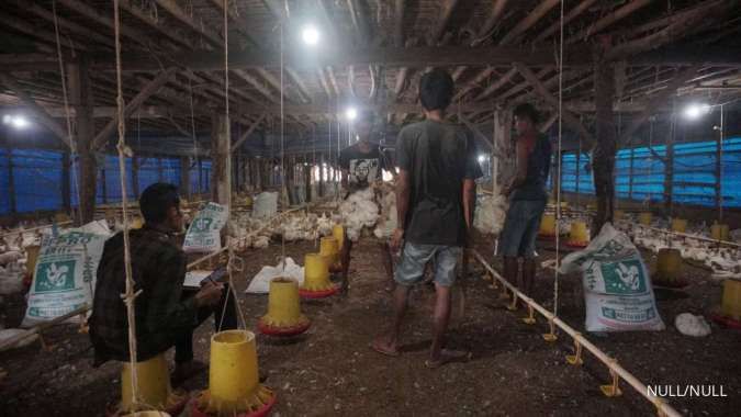 Laba Japfa Comfeed (JPFA) Tumbuh 2,34% pada Kuartal I-2025