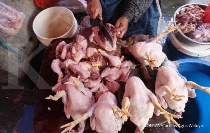 Kenaikan harga ayam disebut ulah spekulan