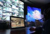 10 Pelanggaran yang Dapat Direkam ETLE dan Besaran Dendanya