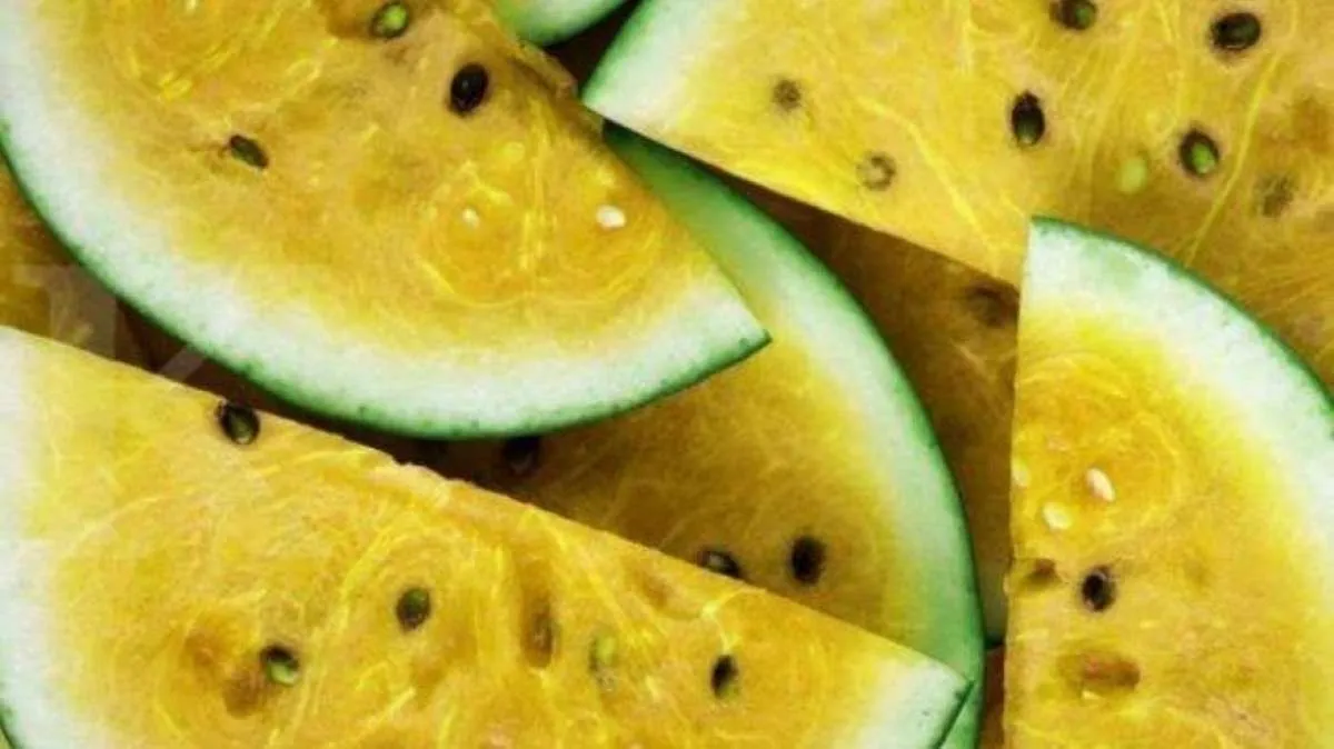 3 Khasiat Semangka Kuning untuk Kesehatan, Bisa Obati Penyakit Kronis