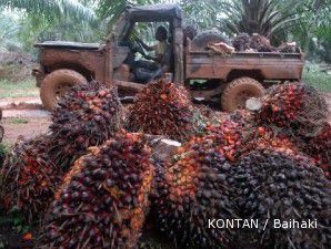 Lahan tanam di AS dilanda banjir, CPO melejit 0,8% siang ini