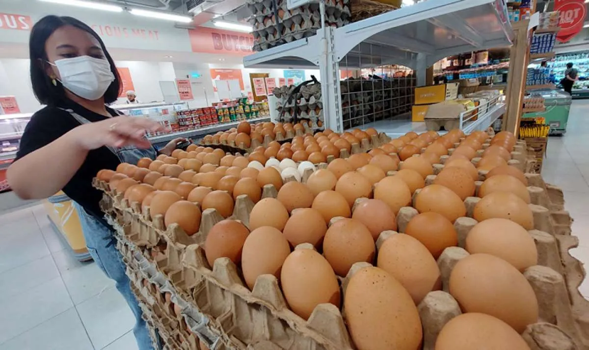 Harga Pangan Lampung, Sabtu (28/12) Harga Telur Ayam Naik