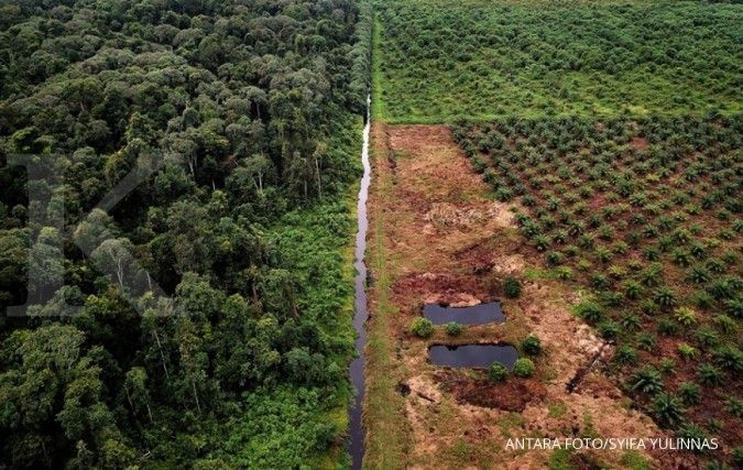Jutaan Hektare Lahan Sawit di Kawasan Hutan Akan Dilegalkan, Bisa Jadi Preseden Buruk