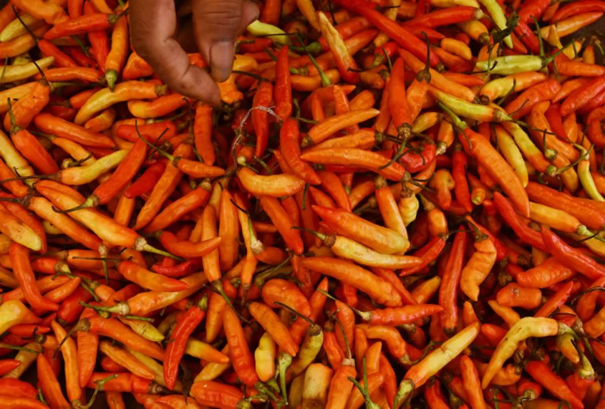 Harga Cabai Rawit Merah Naik, Ini yang Dilakukan Bapanas