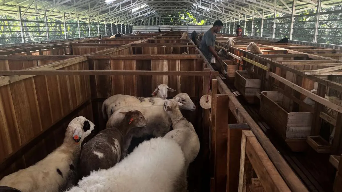 NPL Kredit UMKM di Indonesia Tembus Rp 66,3 Triliun