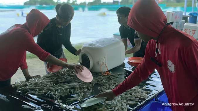 Aquarev Bangun Ekosistem Tambak yang Ramah Lingkungan