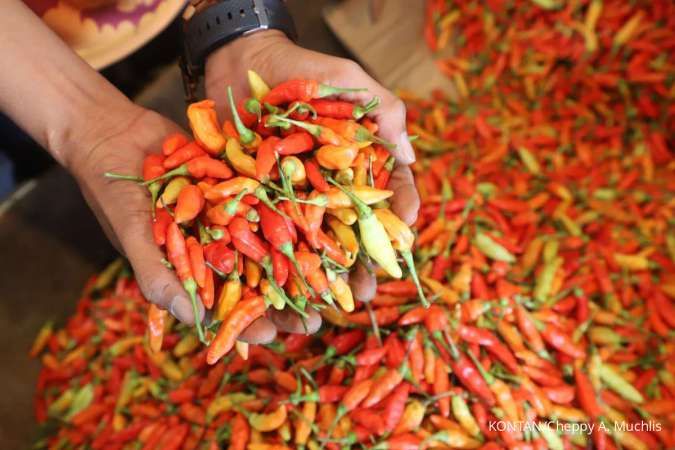 Akui Harga Tinggi, Bapanas Sebut di Tingkat Petani Cabai Rawit Tembus Rp 65 Ribu/kg