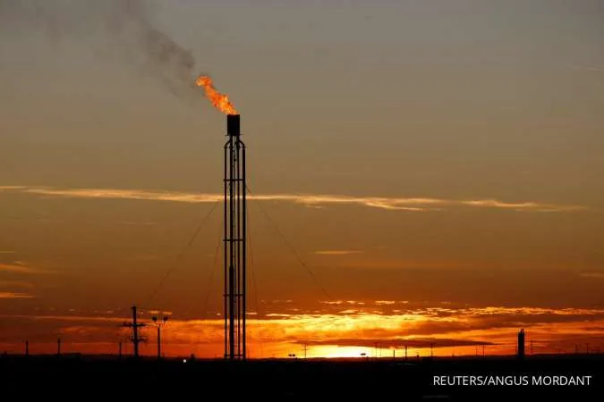 Oil Prices Steady as Attacks on Russian Energy Facilities Intensify