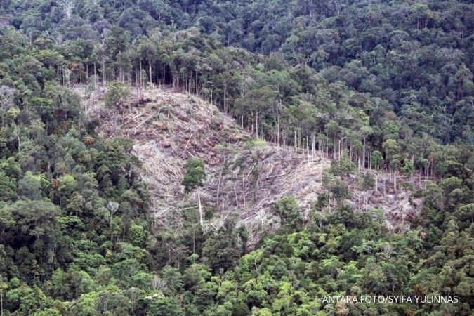 Hutan Tanaman Industri Aphi Klaim Telah Jalankan Kewajiban Rehabilitasi Hutan
