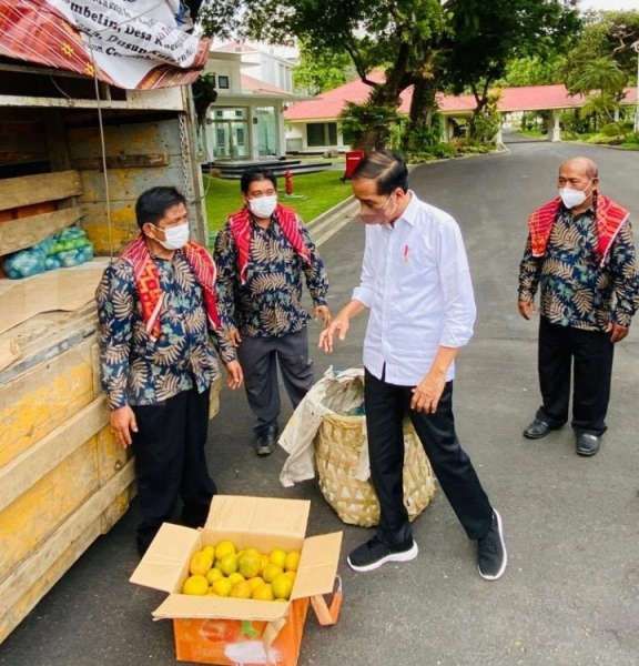Jokowi dapat 3 ton jeruk dari warga Karo di Istana 