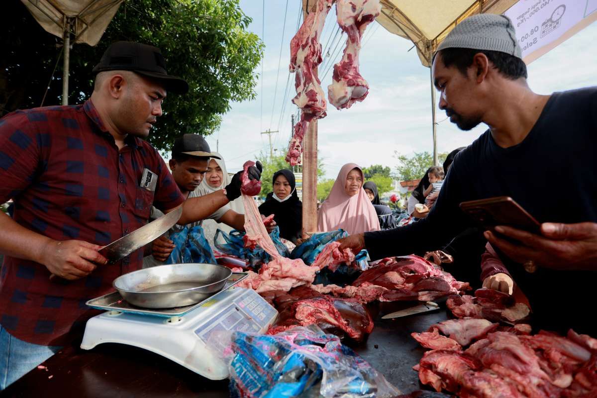 Impor Kerbau Bisa Tekan Harga Daging Sapi