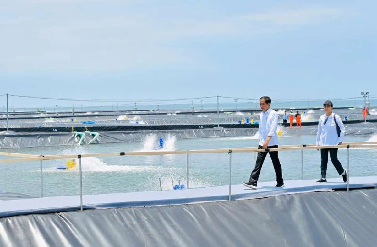 Resmikan Tambak Budidaya Udang di Kebumen, Presiden Minta Daerah Lain Mereplikasi