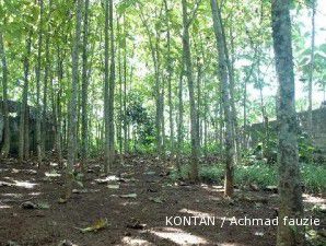 Aceh Perluas Kawasan Hutan Lindung
