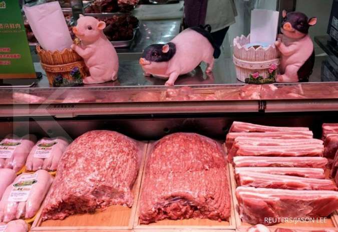 Muncul virus demam babi Afrika, Jepang setop impor daging babi dari Jerman
