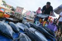 KKP Perluas Layanan Sertifikasi SNI untuk Produk Kelautan dan Perikanan