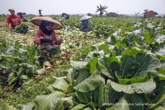 BPS sebut 7,95% masyarakat Indonesia rawan pangan