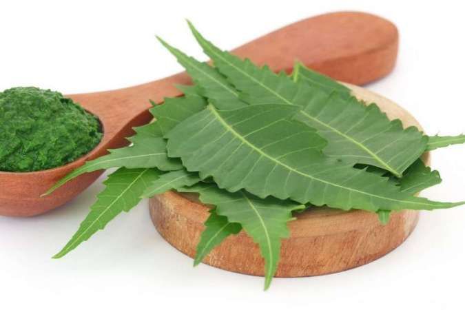 Ketahui 5 Manfaat Daun Neem untuk Wajah, Masalah Jerawat Hilang!