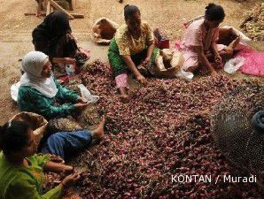 Sebanyak 50 ton bawang merah asal Taiwan masuk Pasar Induk