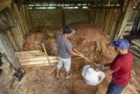 Begini Kata Pengusaha Soal Harga Patokan Tertinggi Biomassa untuk Co-Firing