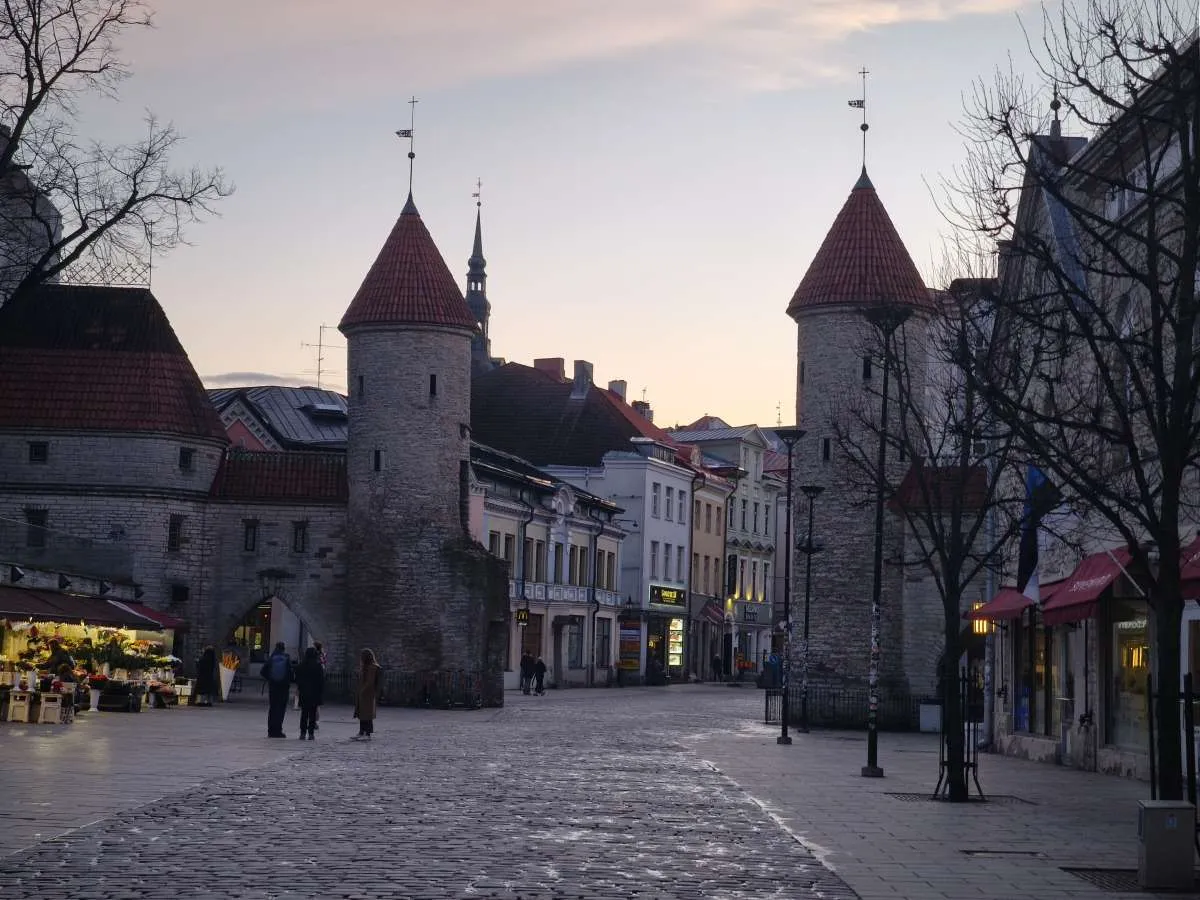 Loncatan Harimau Mengawali Pembentukan Masyarakat Digital