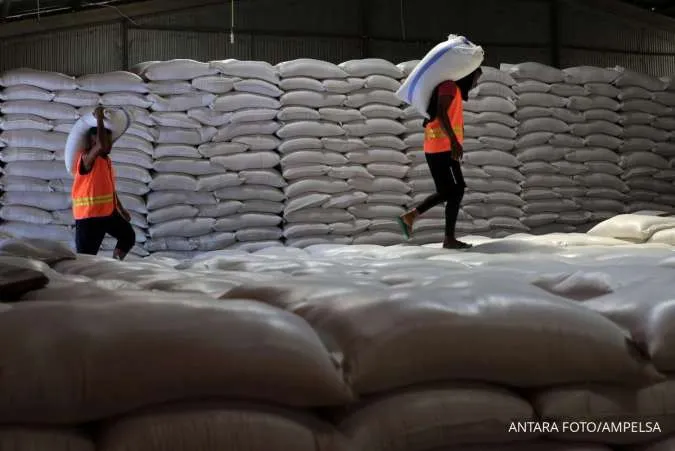 Global Rice Prices to Stay Weak in 2026 On Surplus Supplies