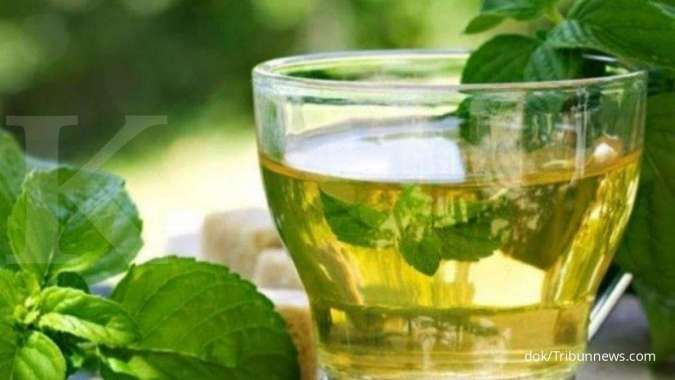 Memiliki wangi yang menenangkan, teh daun mint bisa membantu menurunkan berat badan