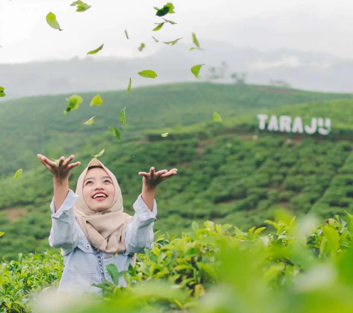 Jalan-jalan di Kebun Teh Taraju Tasikmalaya, wisata sepi dari keramaian 