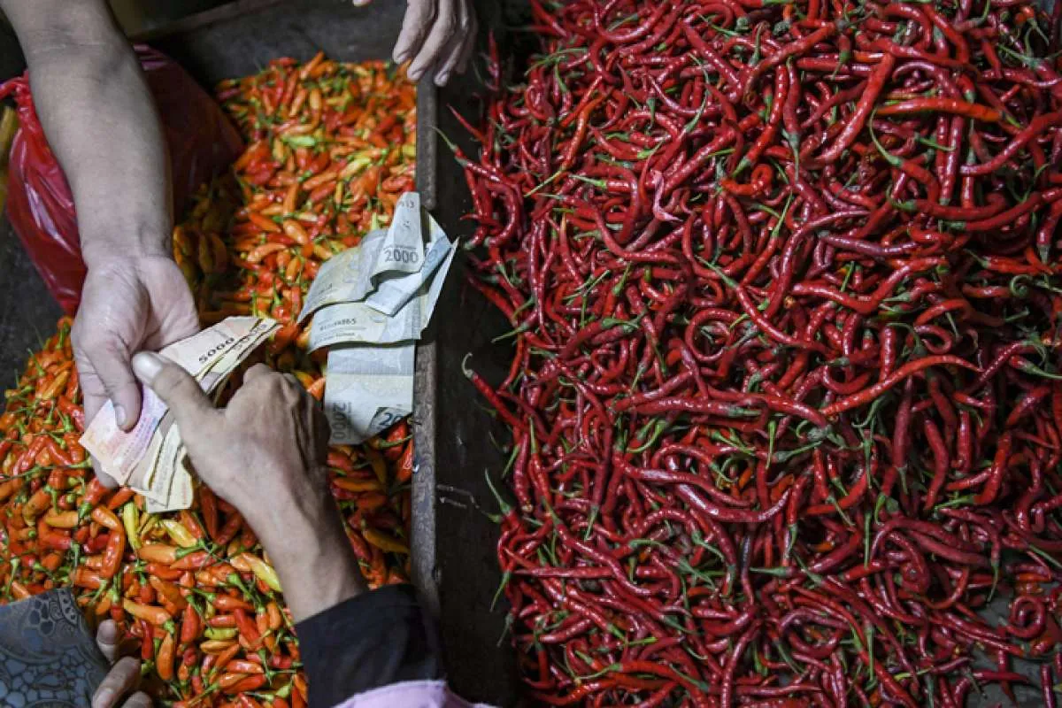 El Nino dan Hujan yang Belum Rata Ganggu Produksi Cabai dan Bawang Merah