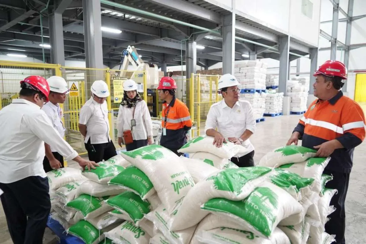 Bantah Ada Monopoli di Wilmar, Bapanas: Stok Gabah Wilmar Juga Terbatas