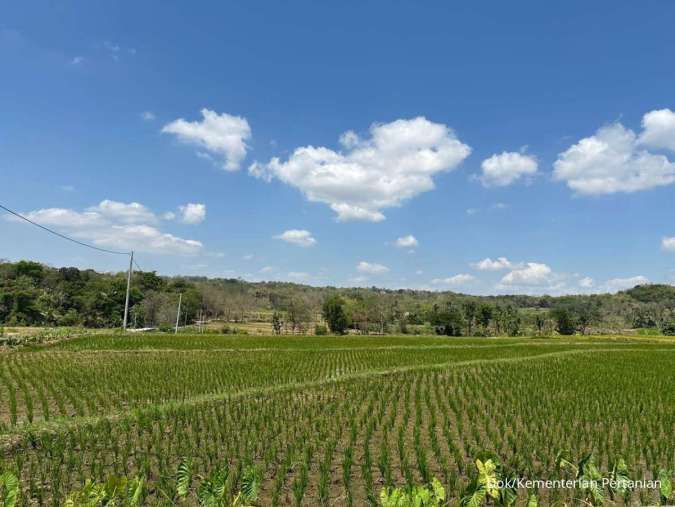 Dapat Anggaran Tambahan Rp 15 Triliun, Kementan Targetkan Cetak Sawah 150.000 Hektar