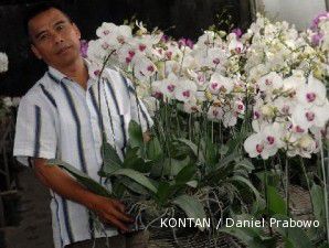 Sutikno mencari celah pasar bunga nasional (1)