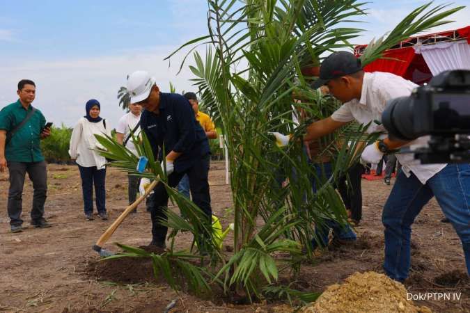 Target 60.000 Ha Peremajaan, Begini Cara PalmCo Gandeng Semua Petani Sawit Indonesia