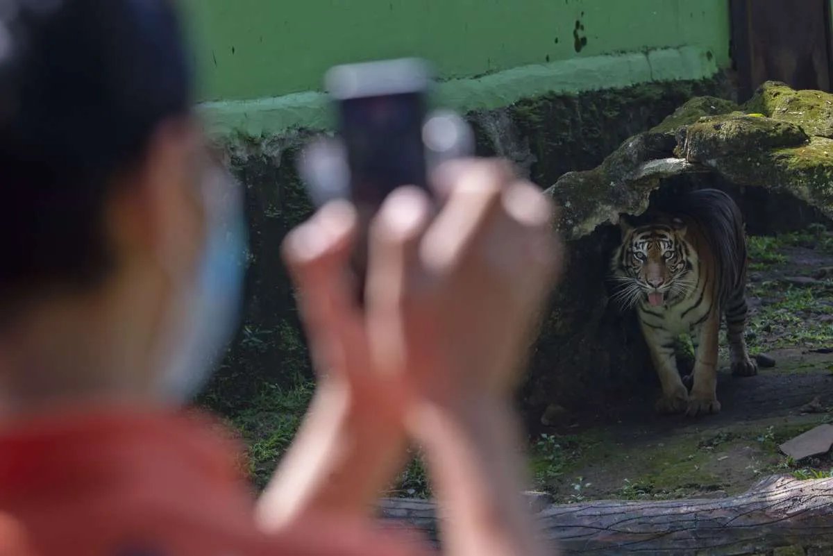 Pemprov DKI Jakarta tutup 25 tempat wisata saat libur Natal dan Tahun Baru