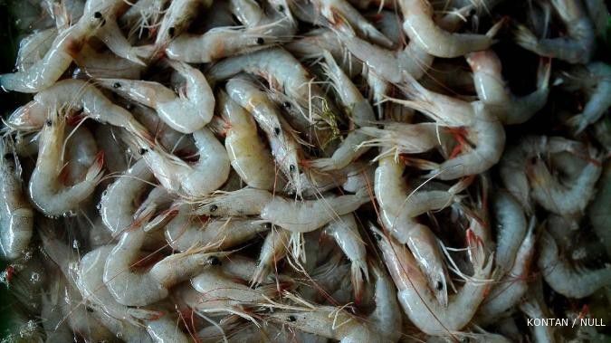 Shrimp Club Indonesia genjot produksi udang 10%