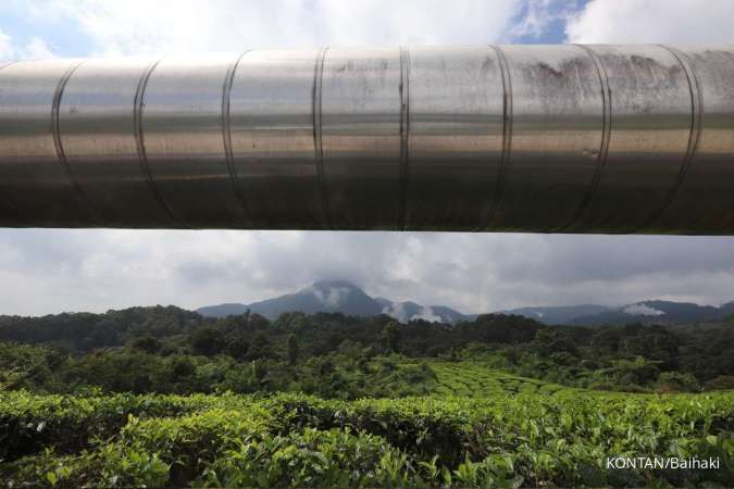 PLN IP Garap Monetisasi Aset Karbon, Dorong Nilai Ekonomi dari PLTP Gunung Salak