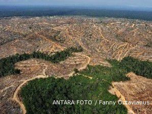 Papua alokasi 70% wilayahnya buat hutan