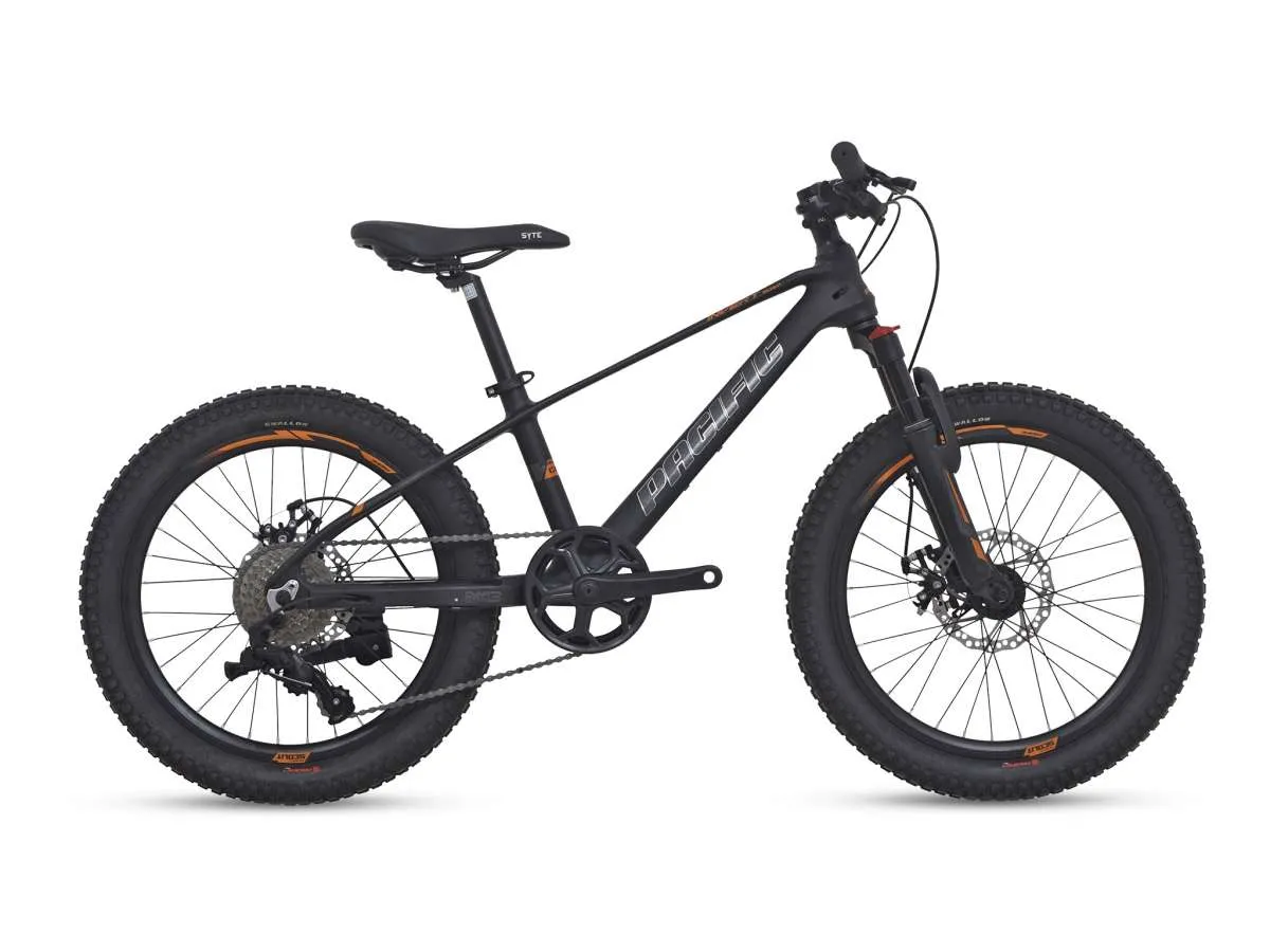 Harga Sepeda Gunung Rp 2 Jutaan Terbaru April 2022, Pacific Invert Scout 