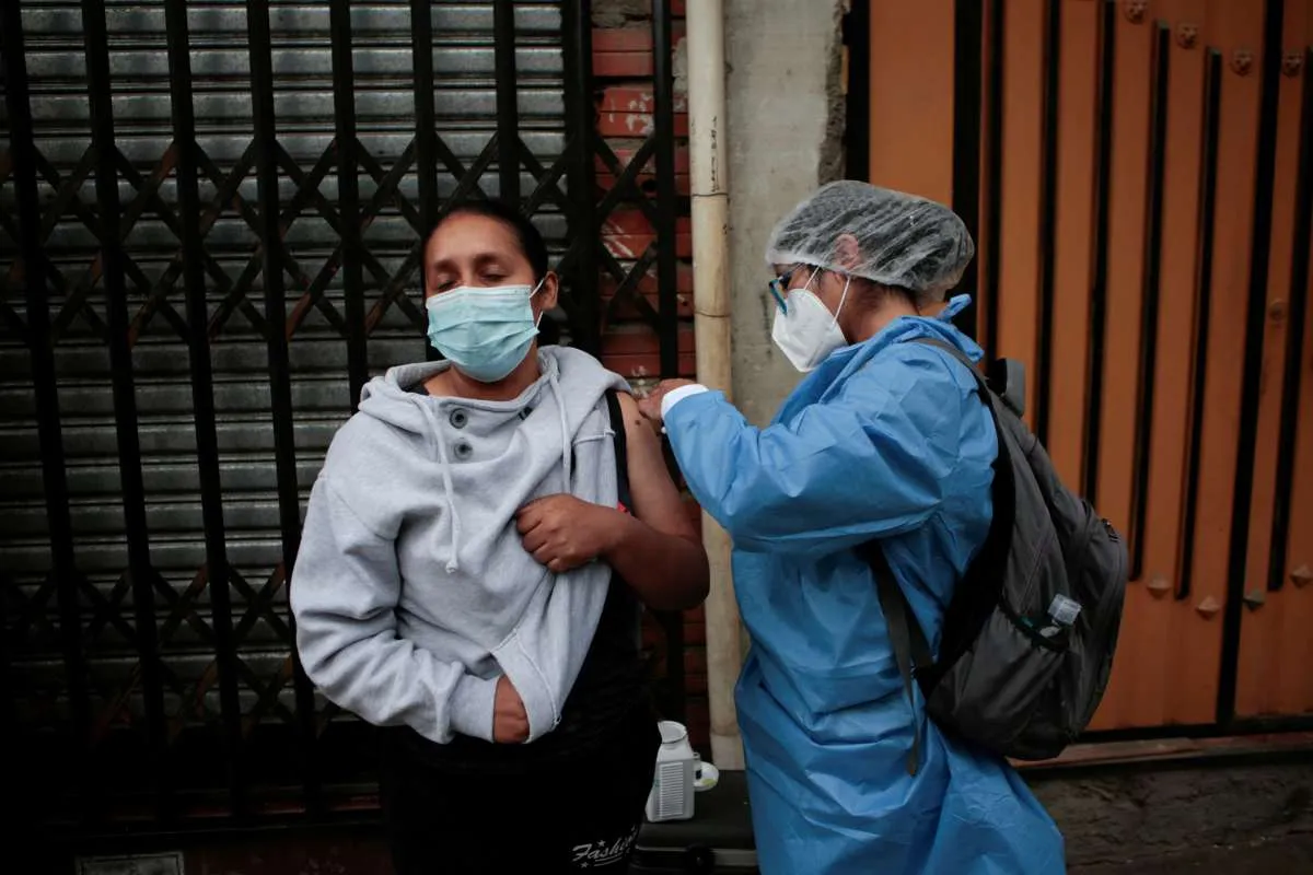 WHO Ingatkan Bahaya Virus Marburg, Ini Kata Kemenkes Soal Virus Marburg di Indonesia