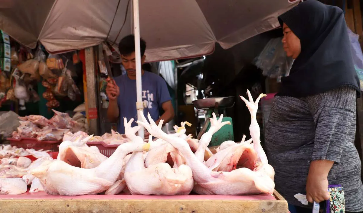 Harga Pangan Hari Ini (30/9): Beras, Daging Ayam, Telur, Jagung, Minyak Goreng Naik 