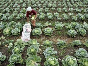 East West Seed Indonesia belum sikapi UU Hortikultura