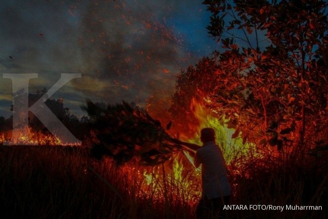 Terkait kasus pembakaran hutan yang dilakukan anak usaha, ini tanggapan SGRO