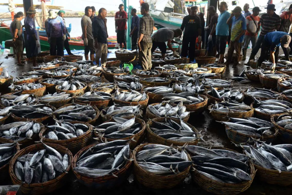 4 Cara Alami yang Efektif Menurunkan Kolesterol, Enggak Pakai Obat
