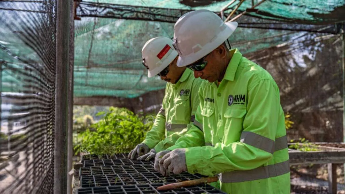 Ini Komitmen dan Usaha Nusa Halmahera Minerals dalam Mewujudkan Green Mining