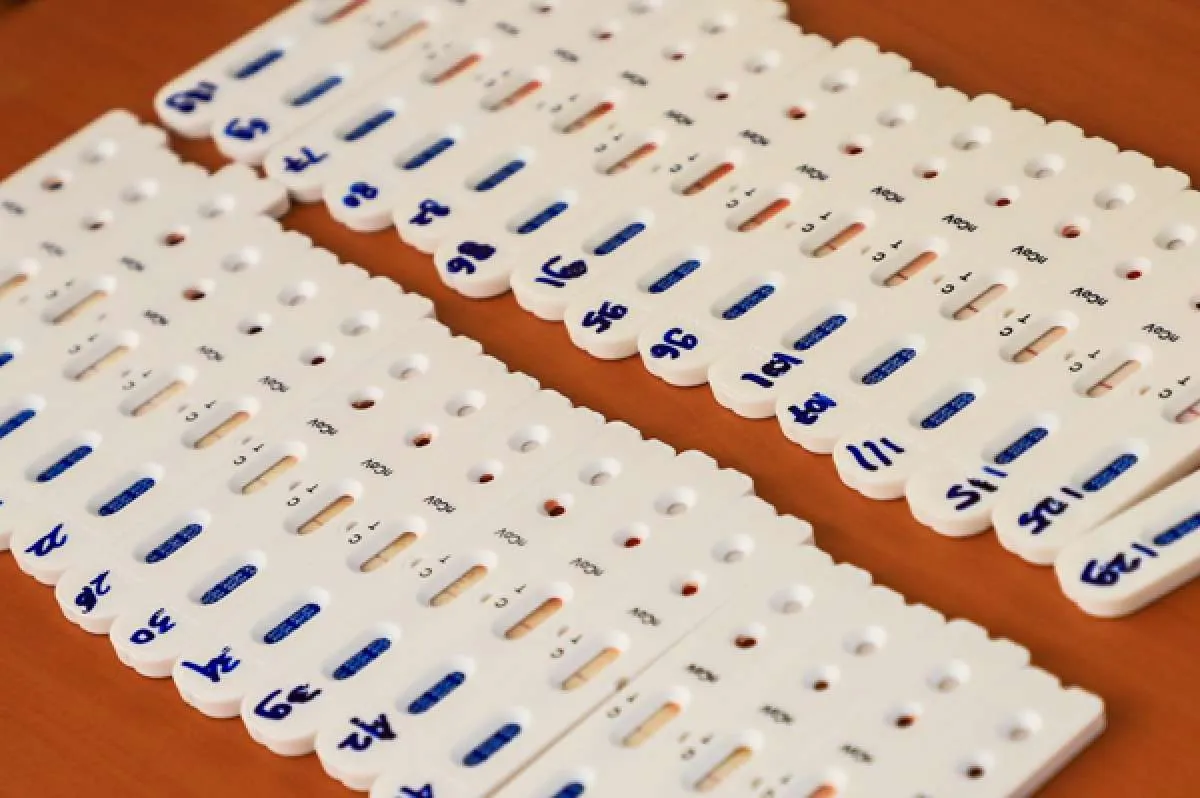 Kimia Farma (KAEF) impor 10.000 boks rapid test dari Belanda