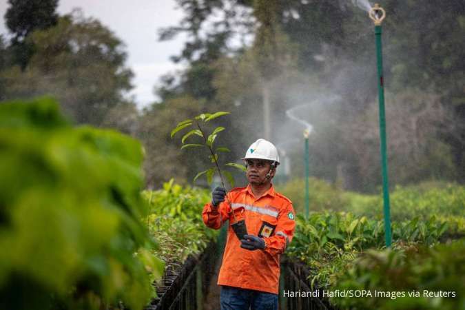 Harga Patokan Ancam Emiten Nikel