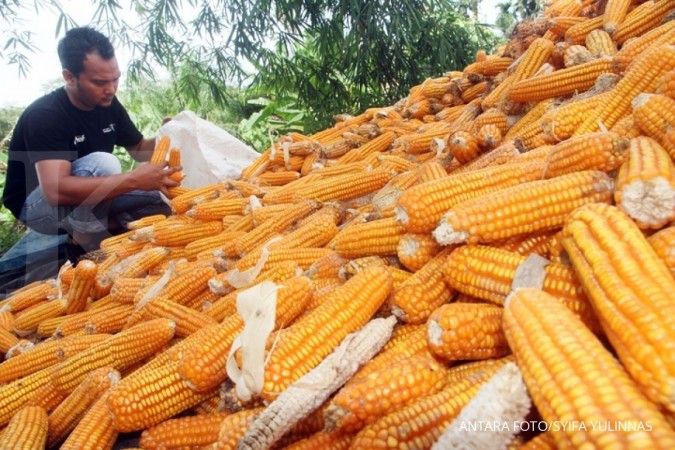 Petani sepakat Indonesia swasembada jagung