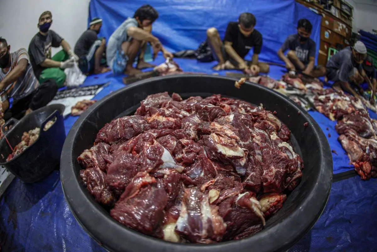Di tengah pandemi, Dompet Dhuafa catat lonjakan penghimpunan kurban